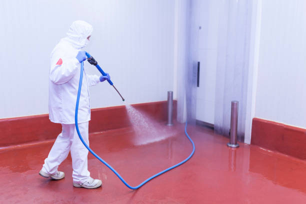 Best Patio and Deck Pressure Washing  in Salem, MA